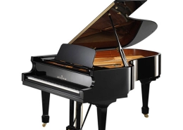 C. BECHSTEIN A 208 noir