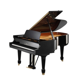 C. BECHSTEIN A 208 noir