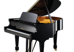 C. BECHSTEIN A 160 (academy) noir