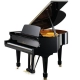 C. BECHSTEIN A 160 (academy) noir