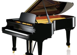C. BECHSTEIN A 228 (academy) noir