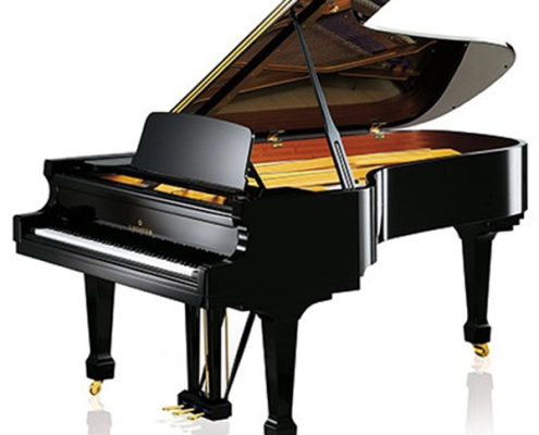 C. BECHSTEIN A 228 (academy) noir C. BECHSTEIN A 228 (academy) noir
