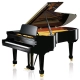 C. BECHSTEIN A 228 (academy) noir