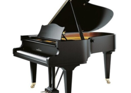 C.Bechstein A192 (concert) noir