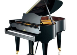 C.Bechstein L 167 (concert) noir