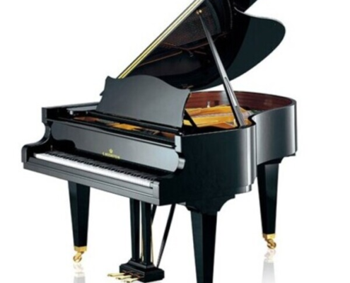 C.Bechstein L 167 (concert) noir C.Bechstein L 167 (concert) noir