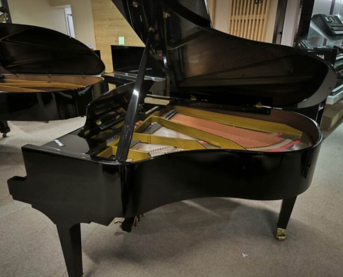 PLEYEL P170 ¼ de queue acoustique Noir Occasion