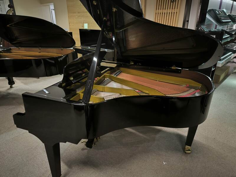 PLEYEL P170 ¼ de queue acoustique Noir Occasion