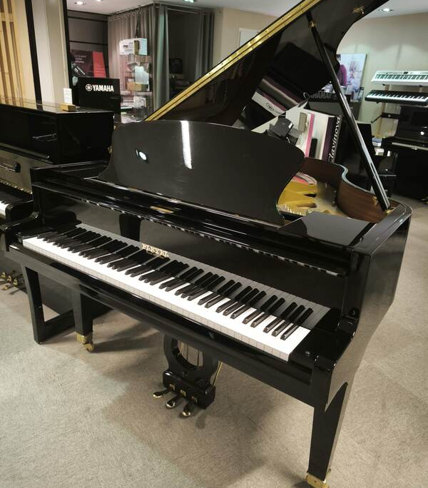 PLEYEL P170 ¼ de queue acoustique Noir Occasion PLEYEL P170 ¼ de queue acoustique Noir Occasion