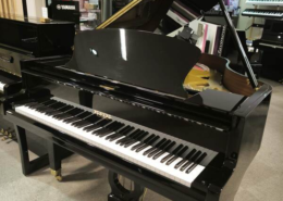 PLEYEL P170 ¼ de queue acoustique Noir Occasion