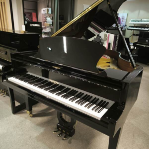 PLEYEL P170 ¼ de queue acoustique Noir Occasion