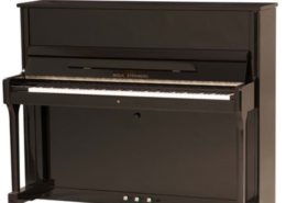 Wilhelm Steinberg P121 silencieux